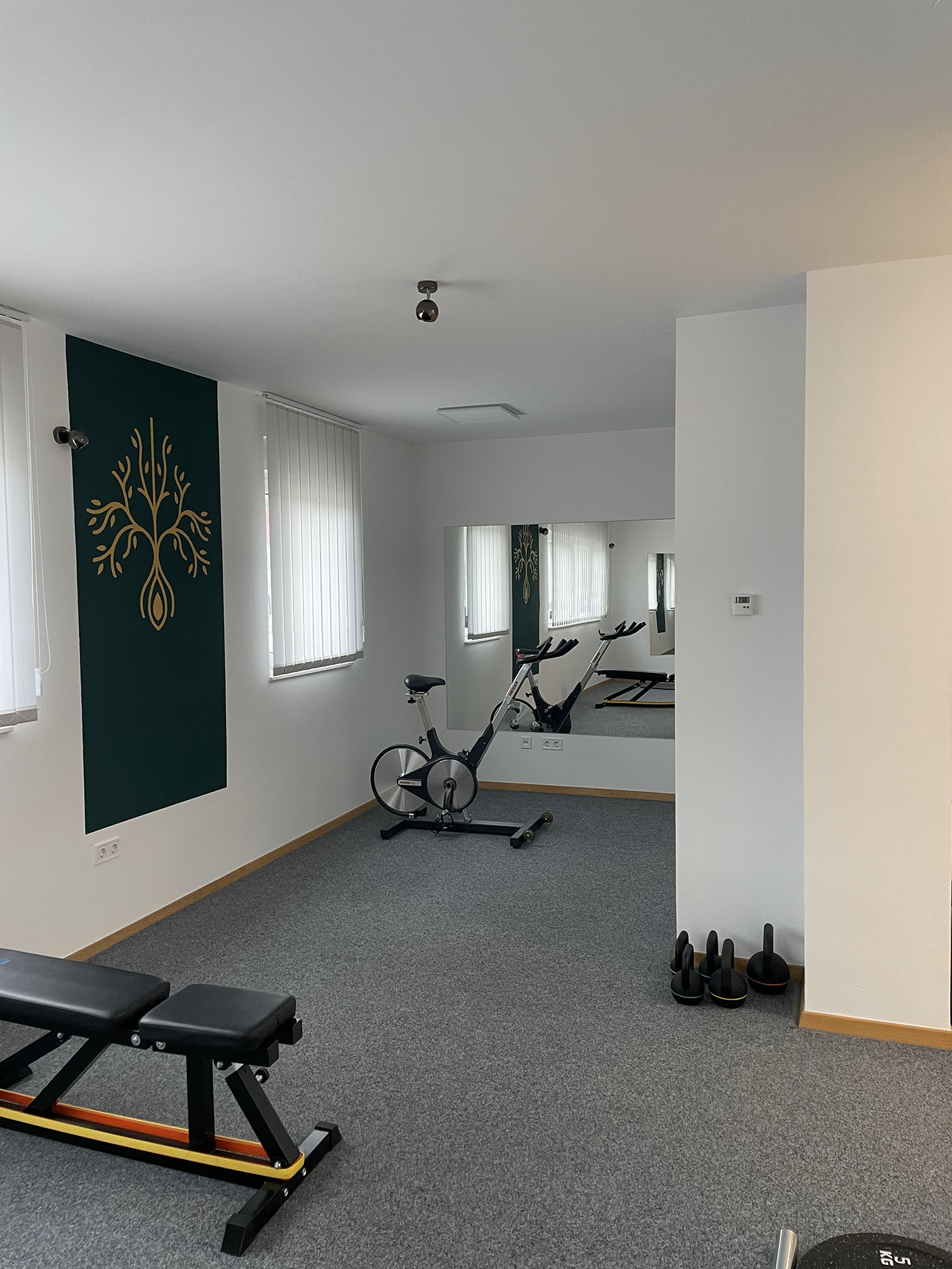 Physio Plus rehabilitacijski prostor